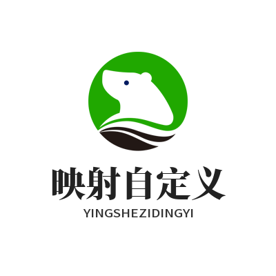 ToDesk远程映射自定义